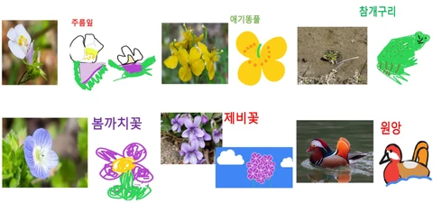 동정호 동식물 퀴즈